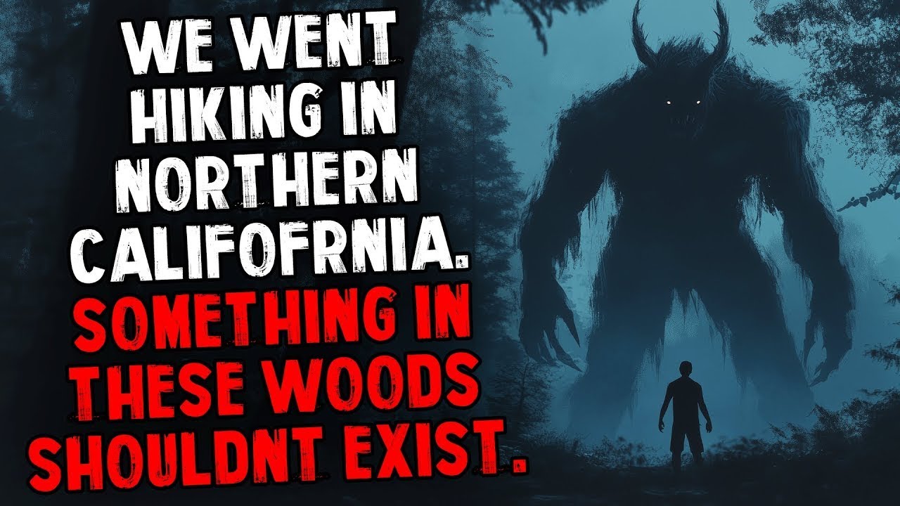 We Went Hiking in Northern California  Something in Those Woods Shouldn't Exist