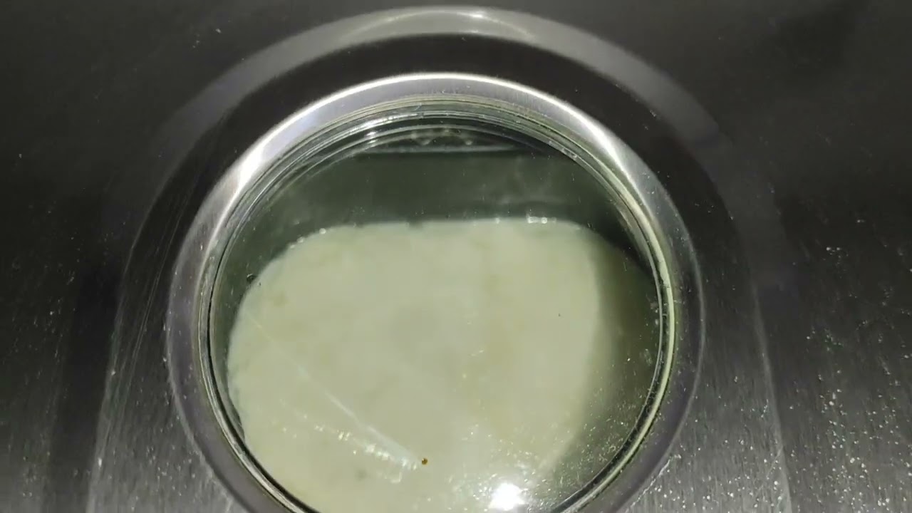 ekmek yapma makinesinde yoğurt yaptım ürün kodu bakexl