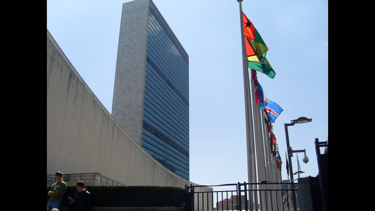 What is Effective Governance for Peace? David Cortright on Voice and Veto