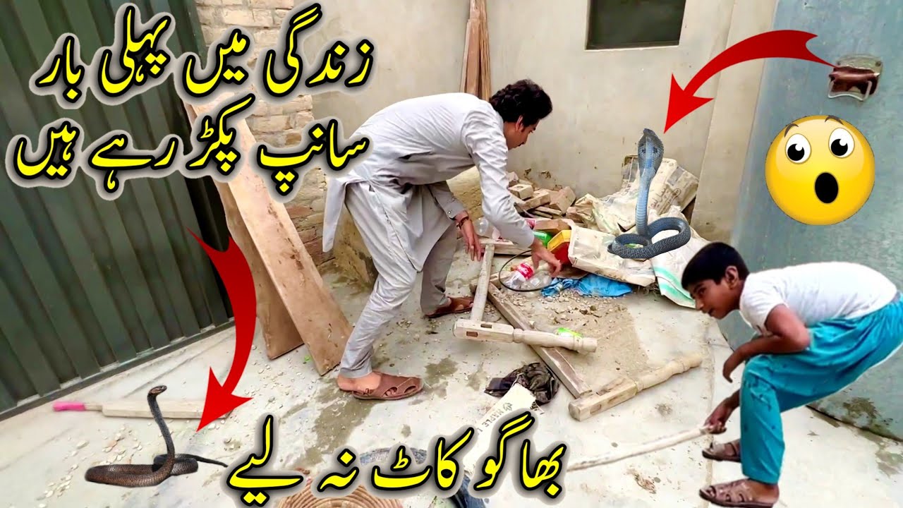 ZindGi Main Pheli Bar Sanp Pakar Rahy Hain😱 🐍