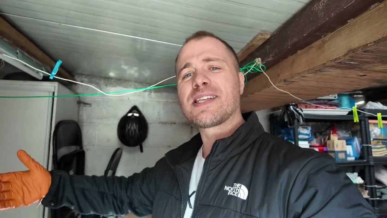 Une maison envahie par les souris, comment s'en débarrasser ?