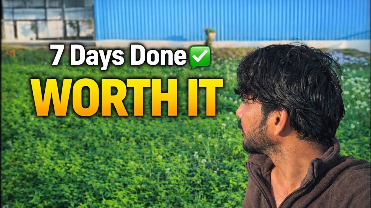 7 Days Alone | Honest Review👍