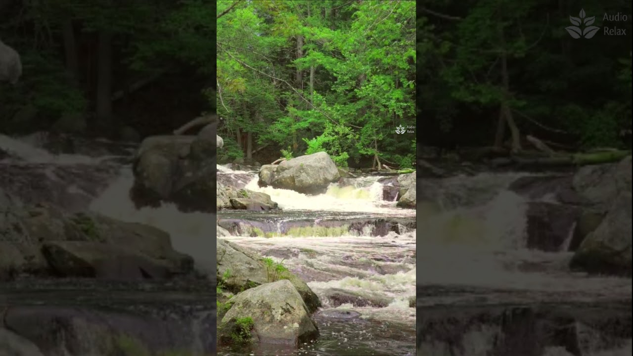 Forest mountain river. Full 10hours version already on YouTube. #audiorelax #mountainriver #river