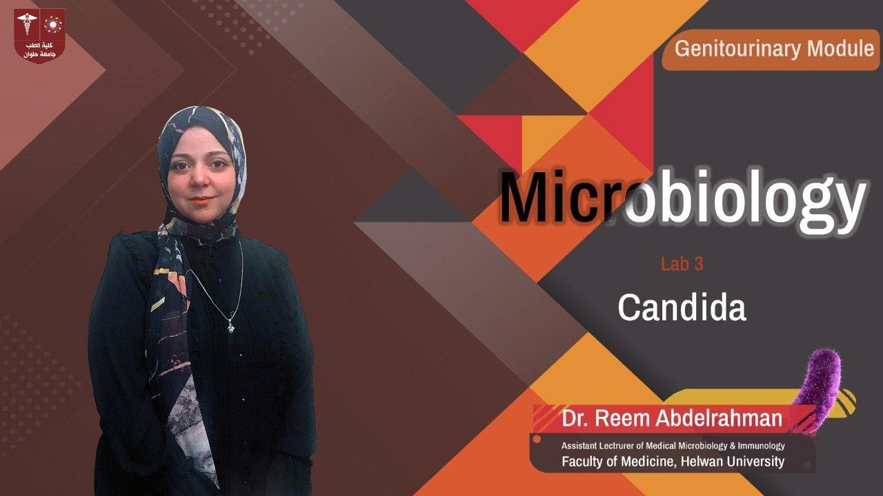 3.Candida