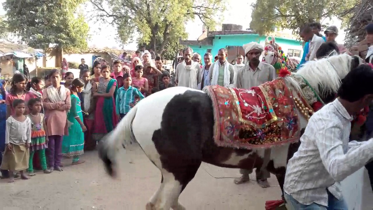 Dhovinpurawa u.p.banda