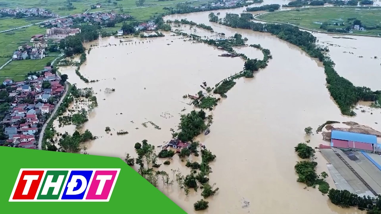 Thay tên bão Yagi thành Tomo | THDT