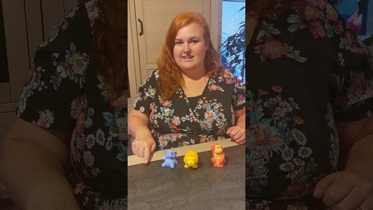 Spel: Wat is er weg?