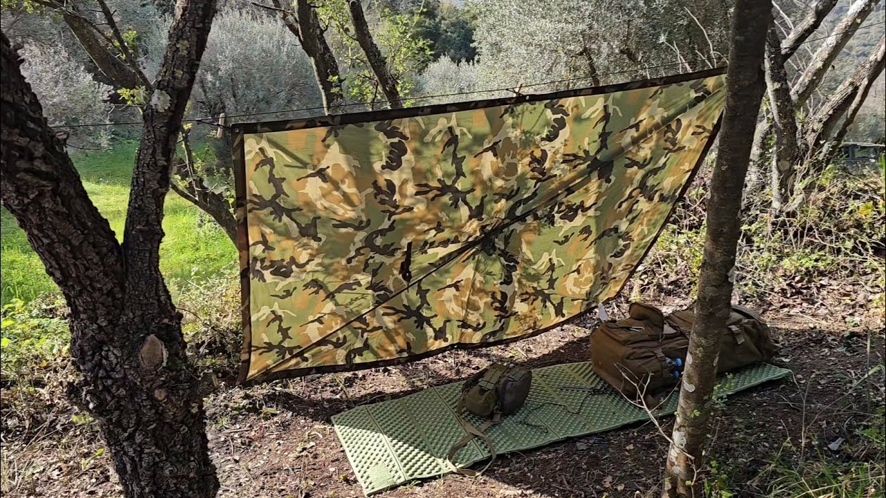 Solo siesta in the woods