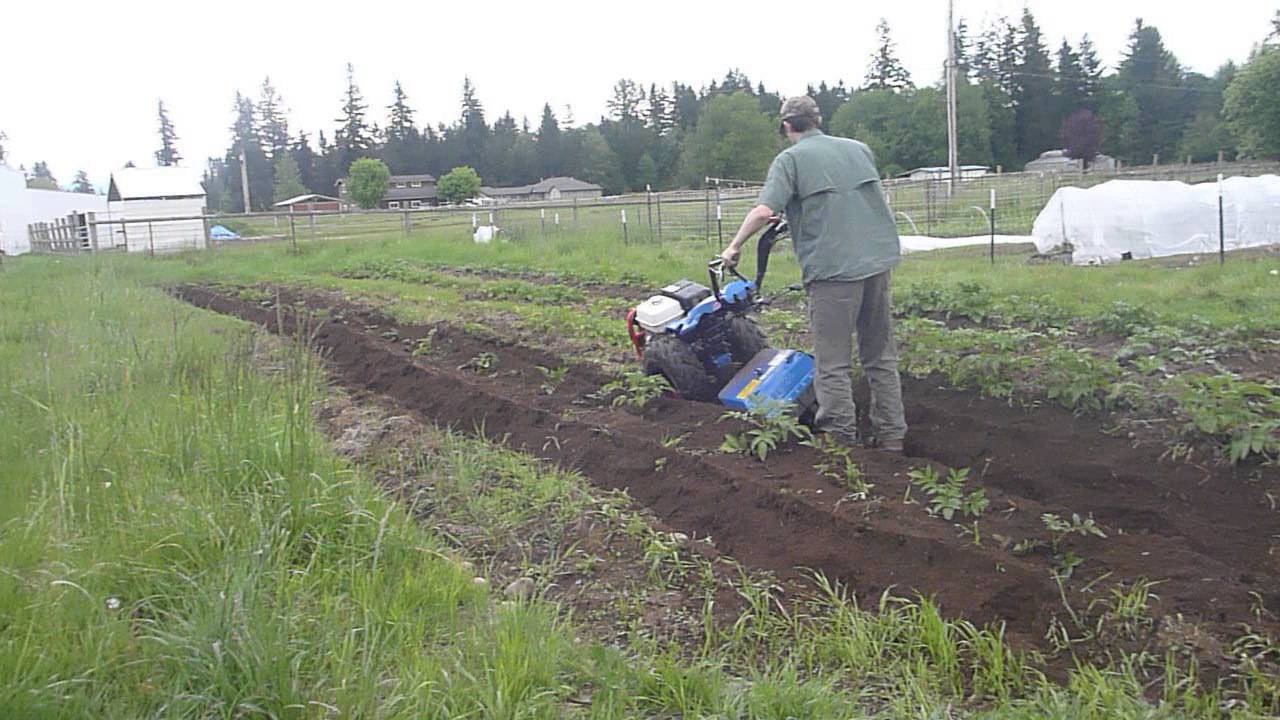 BCS 853 Hilling Potatoes with Berta Rotary plow