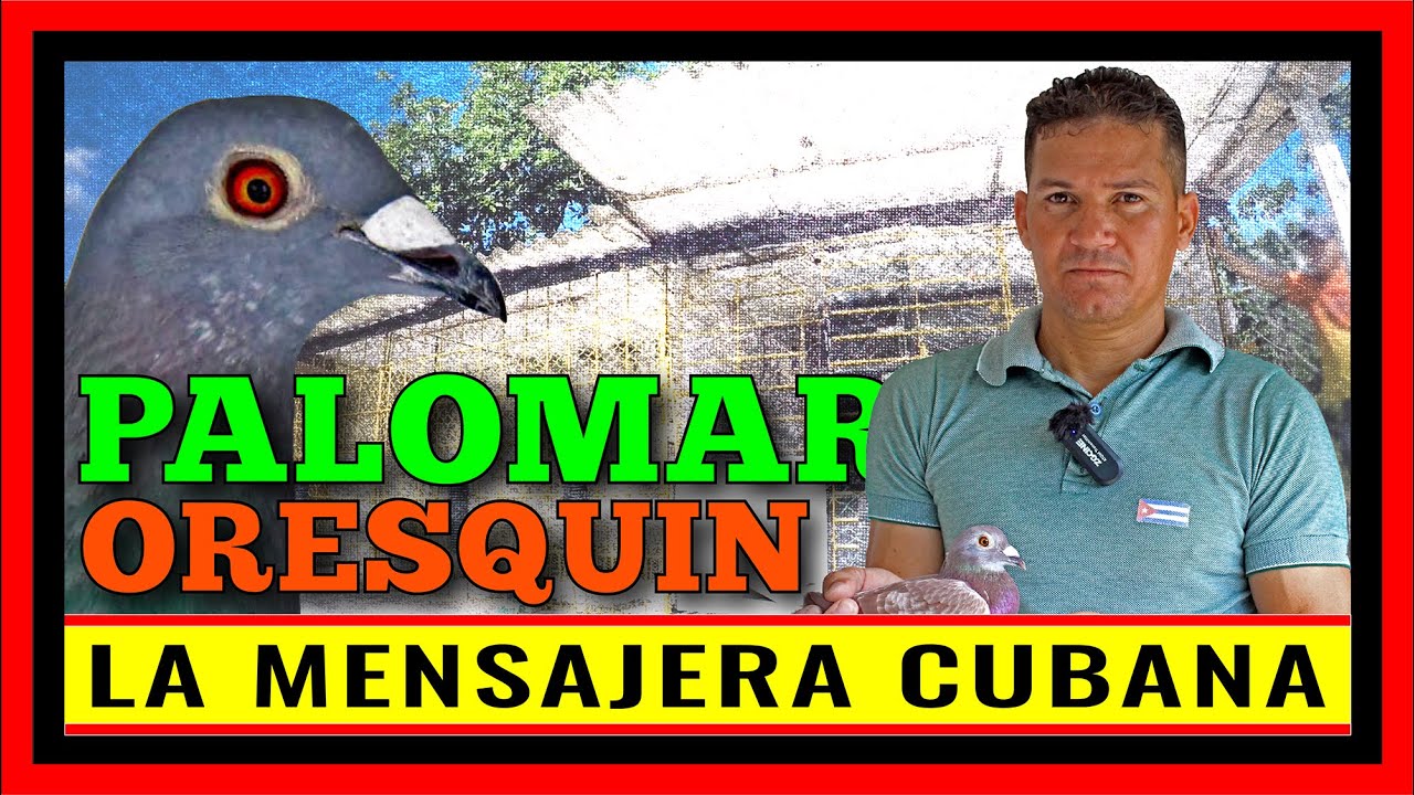 La Mensajera Cubana. Reproductor Oresquin Martínez