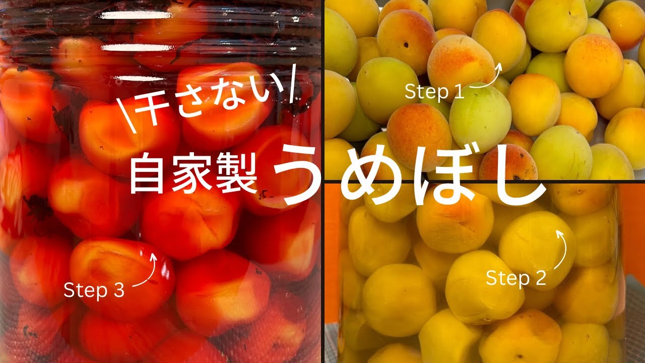 【保存版】干さない自家製梅干しの作り方