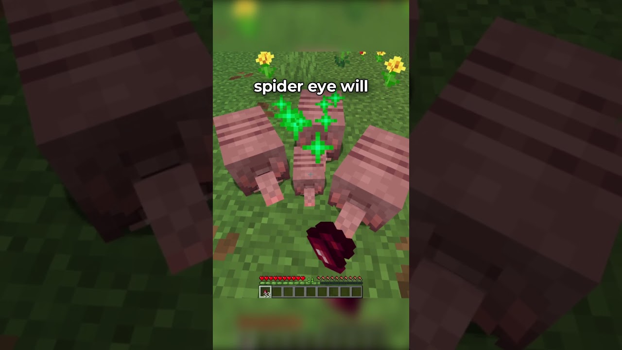 BEST MINECRAFT TIPS OF ALL TIME