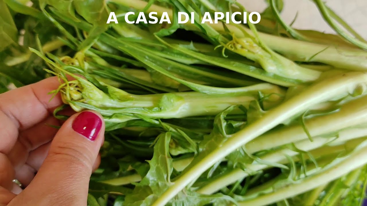 Come pulire le puntarelle