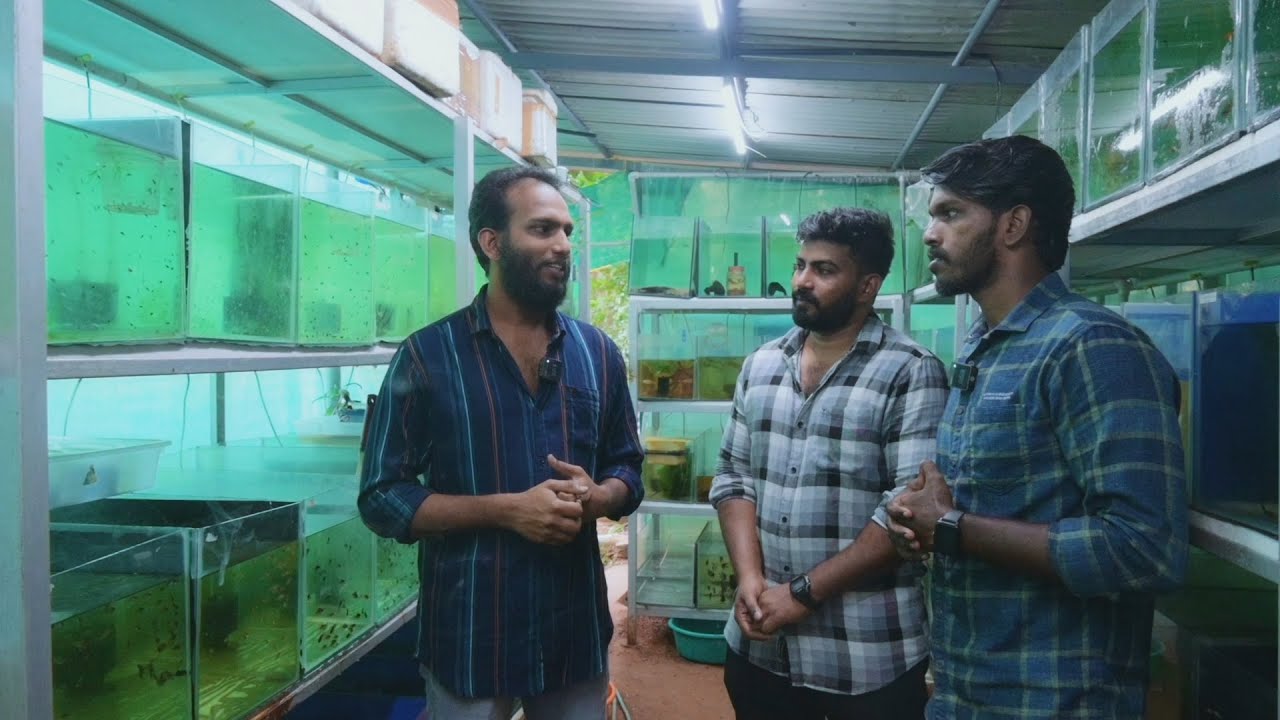 Exotic Fishകളുടെ വൻ കളക്ഷൻ | Breeding| Fishy Friend Aqua Farm | Part 1