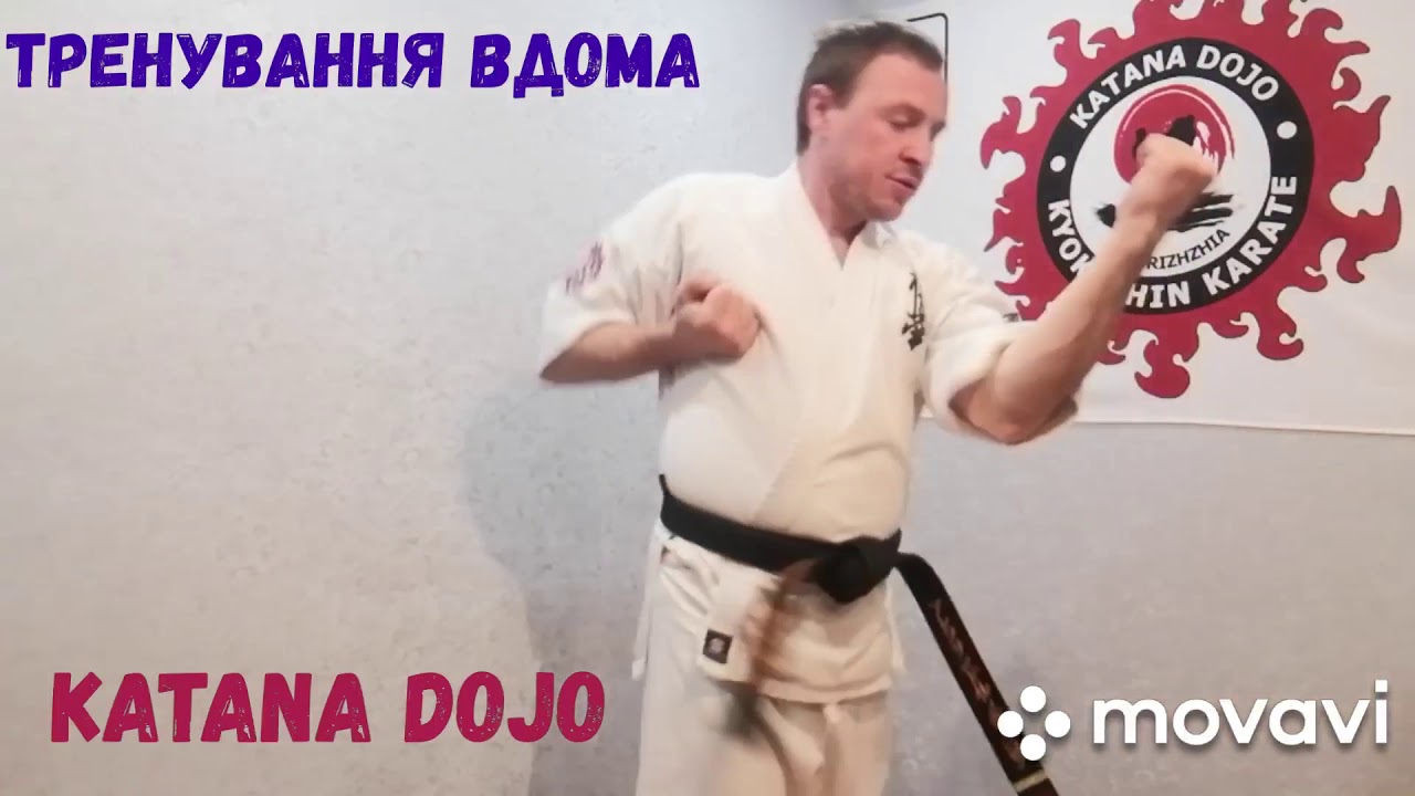 9 кю Техника Киокушин Карате