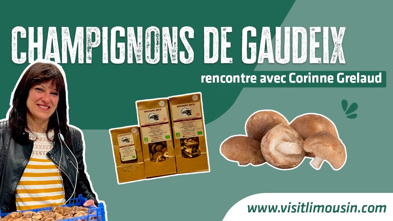 À la rencontre de Corinne Grelaud - Champignons de Gaudeix