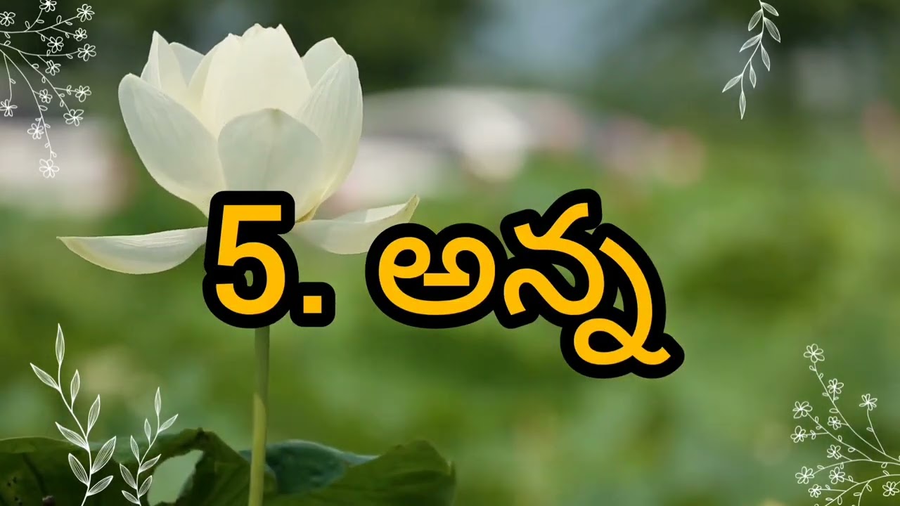 Women Prophetess in Bible ( బైబిల్ గ్రంథములో ప్రవక్తినీలు)