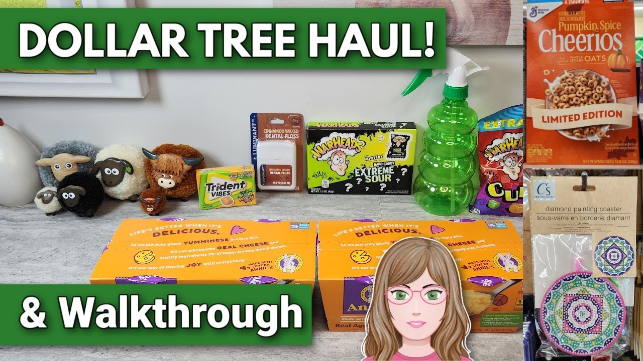 NEW DOLLAR TREE Haul and Walkthrough in 2 PA York, Stores! February 4, 2026
