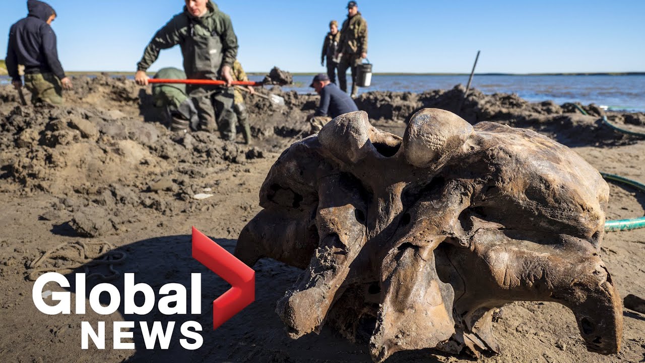 Woolly mammoth skeleton found in Siberian lake in Russia's Arctic