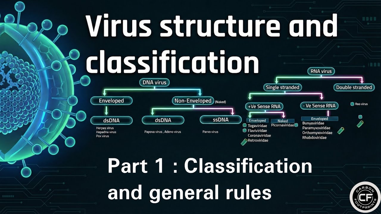 General Viro Part 1 : Classification and General Rules Mnemonic || INICET NEET-PG PYQ / PYT || Micro