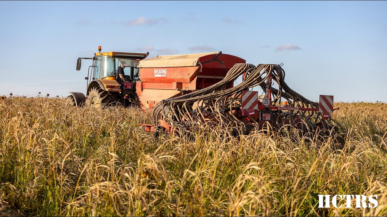 Direct drilling in standing cover crop with Weaving GD4800T | Renault Agriculture Ares 710RZ