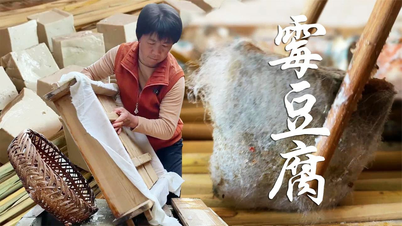 大妈用祖传秘方做豆腐，15天后又收获霉豆腐，毛越长越好吃！【是晓晓杨呀】