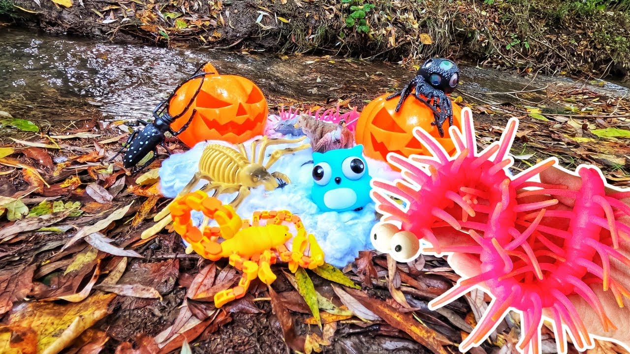 Learn Halloween Animal Names & Facts at the Woodland Stream: Spider Vulture Rat Wolf Owl