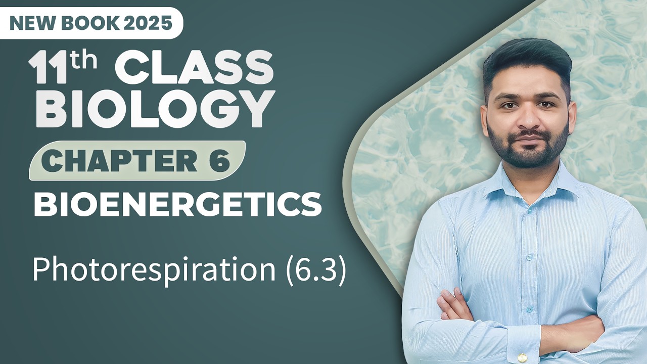 11th Class Biology Chapter 6 | Photorespiration | Class 11th Biology New Book 2025