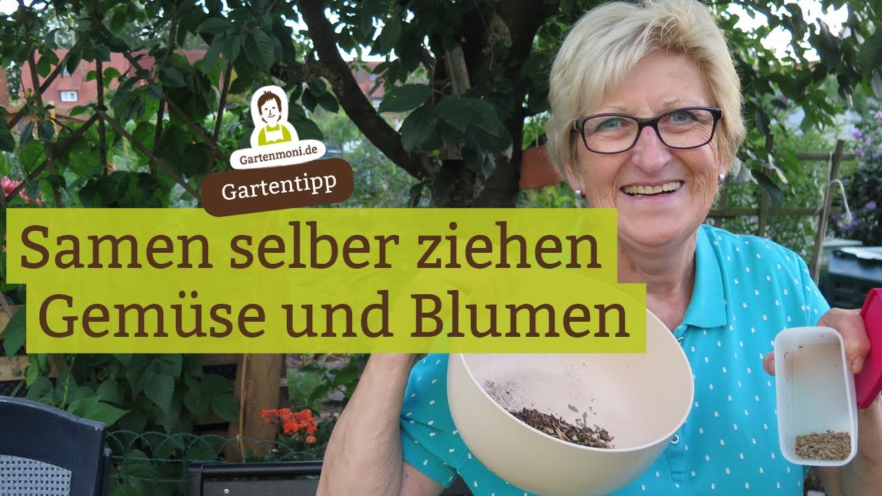 Samen selber ziehen: Gemüse und Blumen selber vermehren