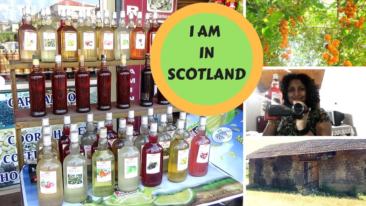 Coorg Vlog Part 1 - Holiday in Scotland of India | Bangalore Weekend Getaway