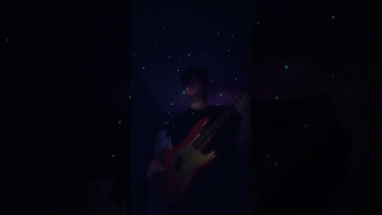 The reason hoobastank (bass cover)