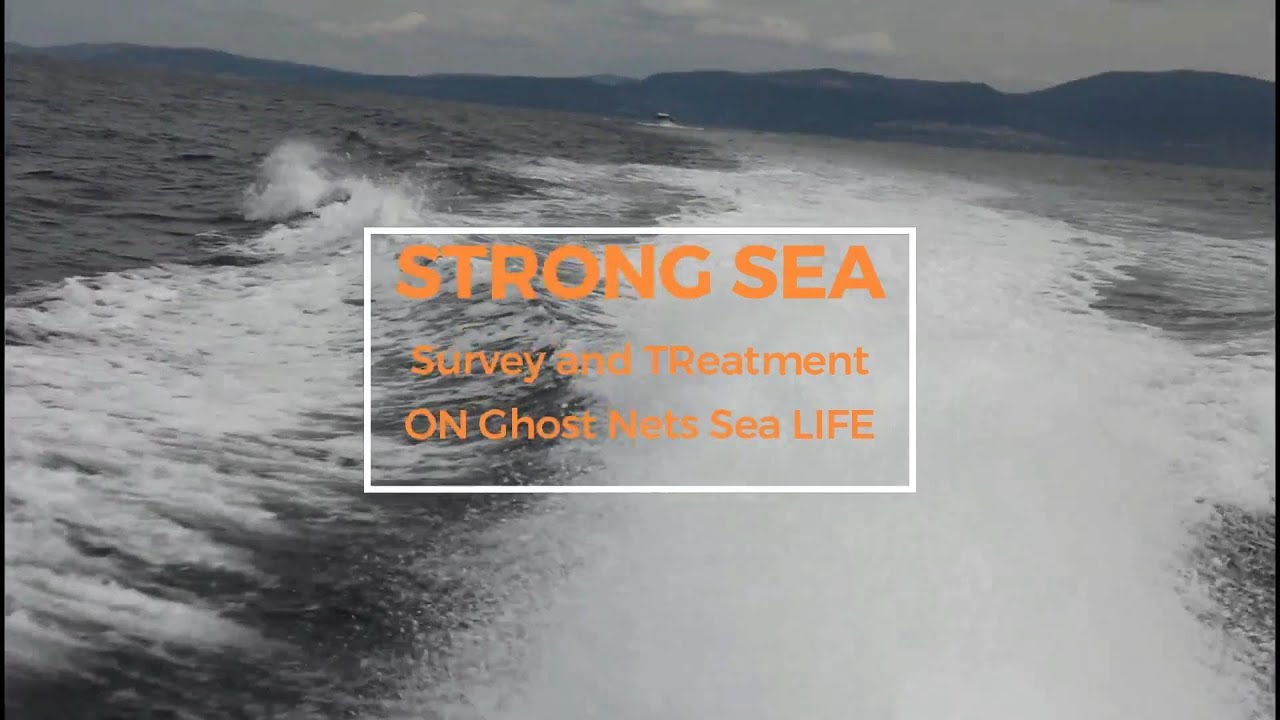 Le attività in mare del progetto STRONG SEA LIFE