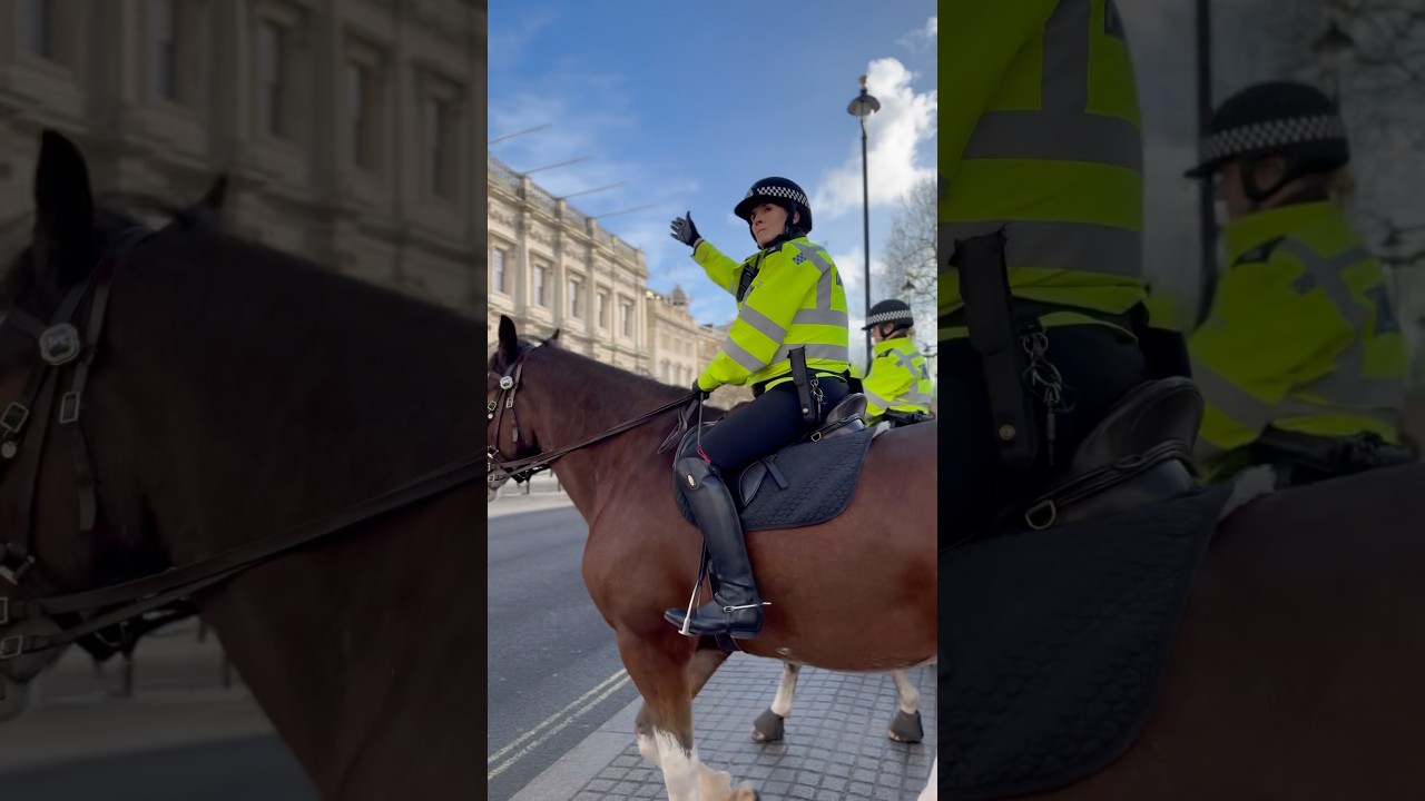 Met Police on Horseback #shorts