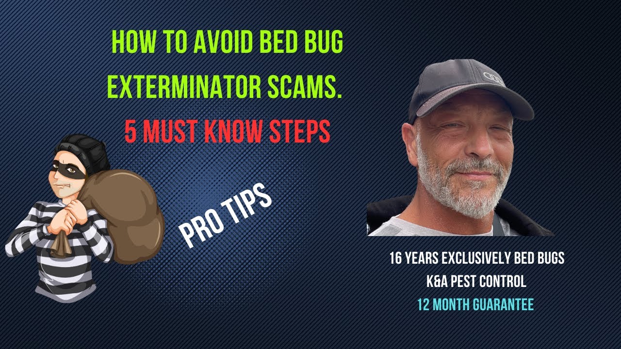 5 Steps To Avoiding Bed Bug Exterminator Scams