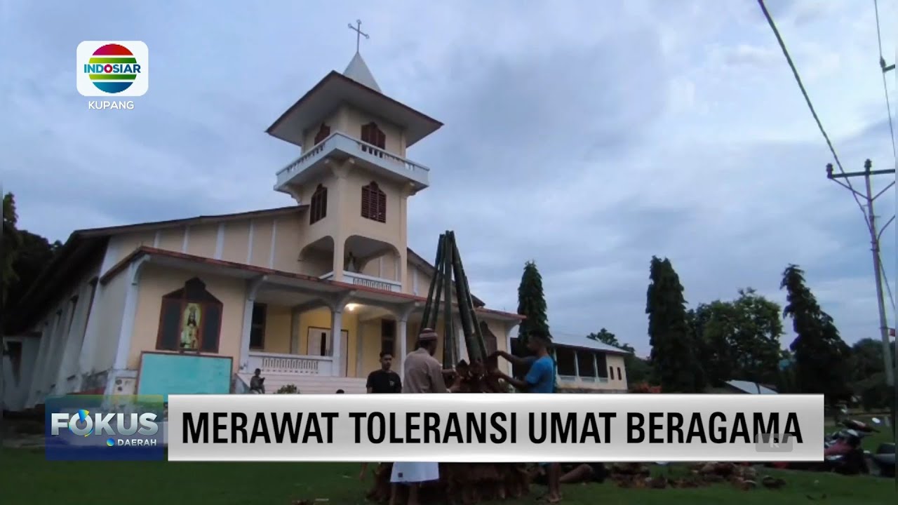 PEMUDA MASJID DI MAUMERE BANGUN POHON NATAL DI HALAMAN GEREJA || INDOSIAR KUPANG