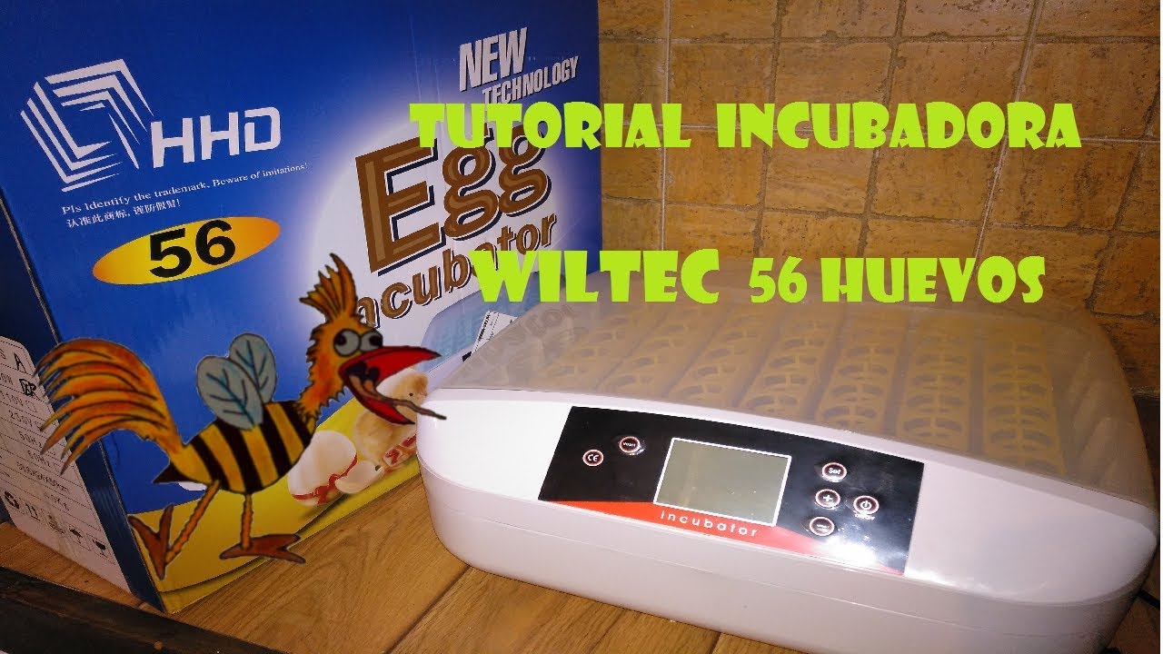 Como programar incubadora automática 56 huevos | Tutorial en español