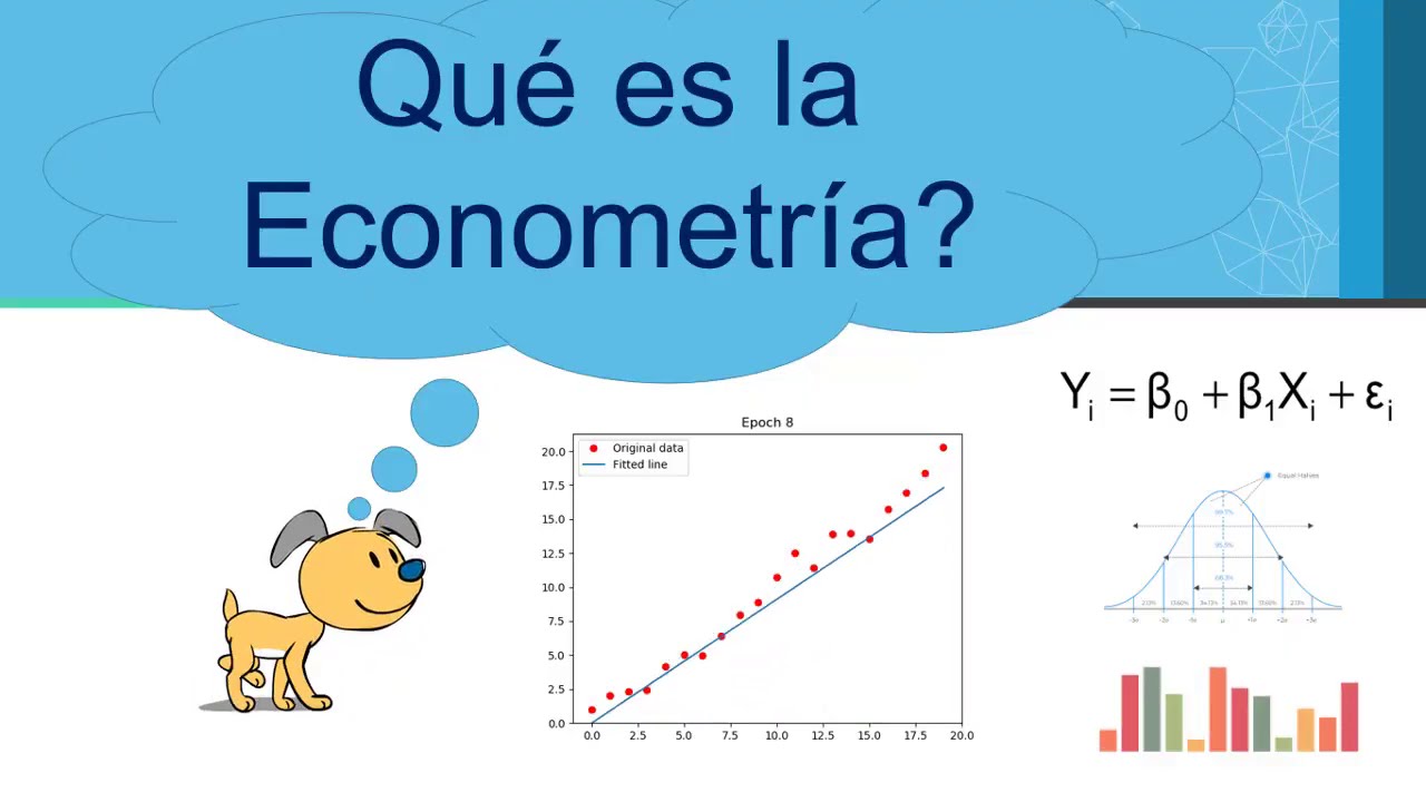 Introducci&oacute;n a la econometr&iacute;a