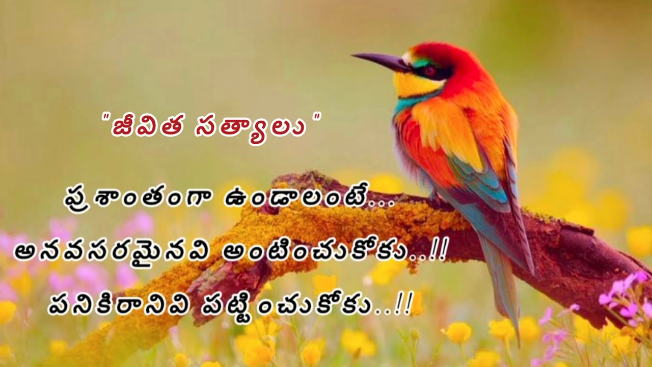 ప్రశాంతంగా ఉండాలంటే అనవసరమైనవి అంటించుకోకు..!! పనికిరానివి పట్టించుకోకు..!!#జీవిత సత్యాలు#