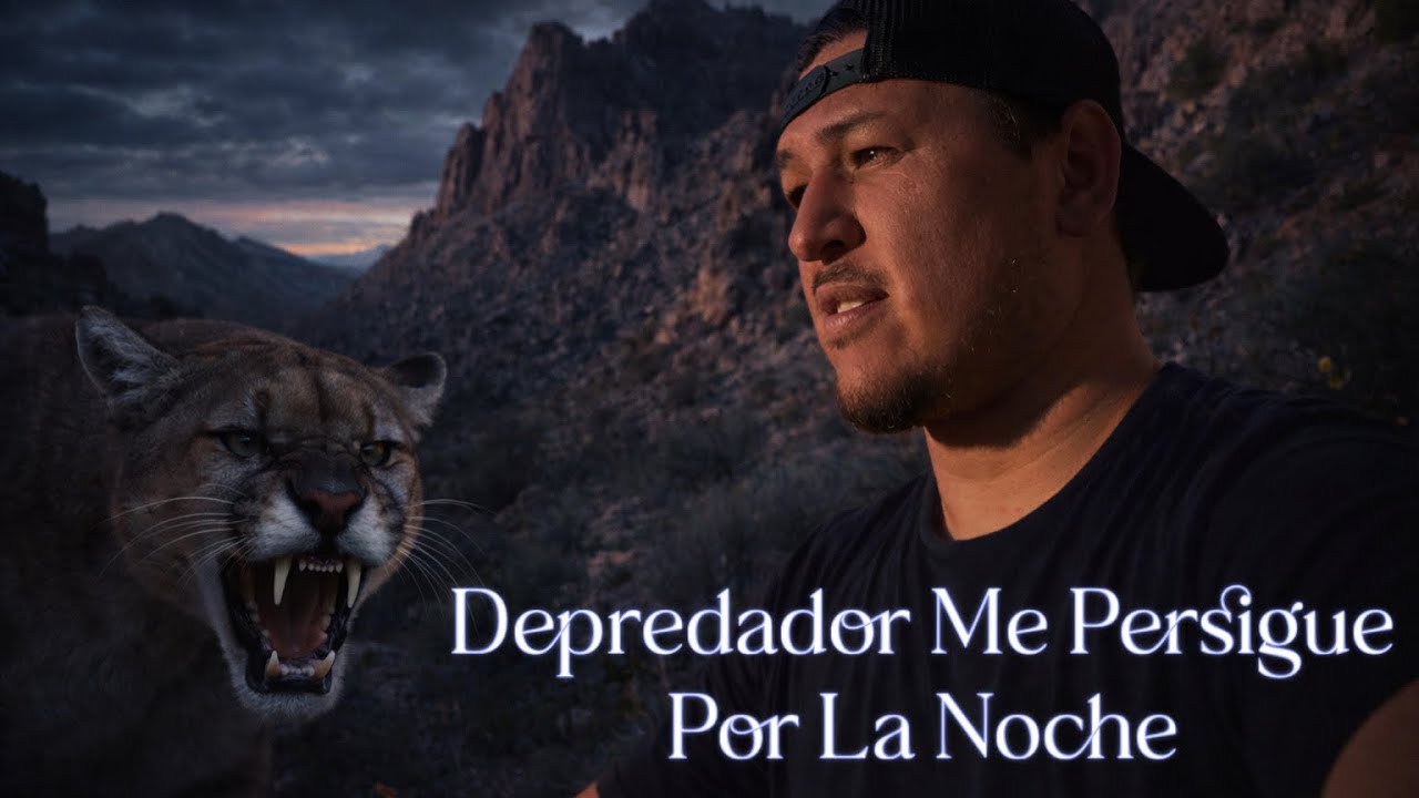 Depredador Me Persigue En Las Oscuras y Altas Montañas 