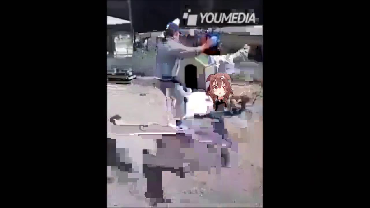 When you mess with the doggo