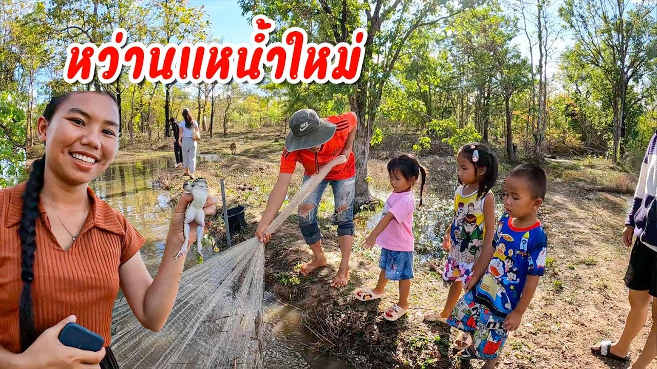 ถือแหเลาะตึกปลาตามท่งนา | ຕຶກແຫຢູ່ໄຮ່ນາຫຼັງຝົນຕົກແຮງ