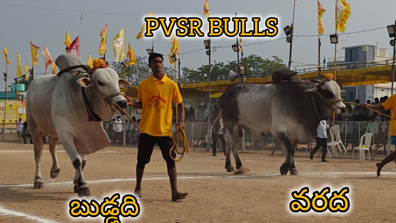 చిలకలూరిపేట సీనియర్స్1వ పావులురి వీరస్వామిచౌదరి బలికురవ బాపట్ల జిల్లా...