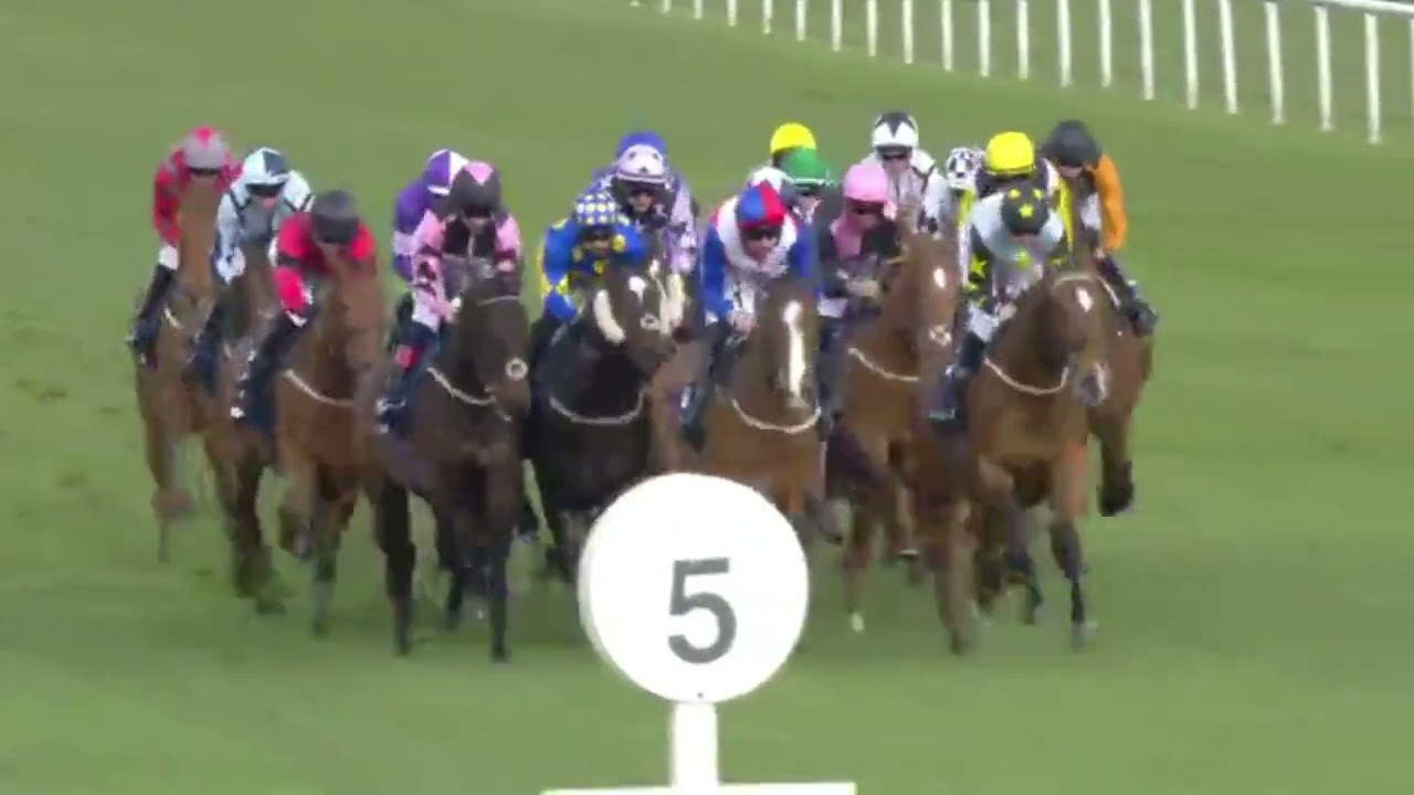( LOOK BACK SMILING)3 Race Doncaster 23 Mar 2024