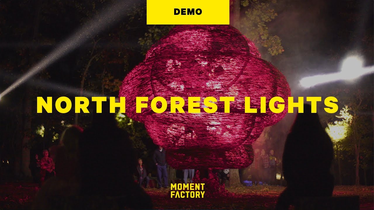 North Forest Lights | immersive light and sound installations in the forest