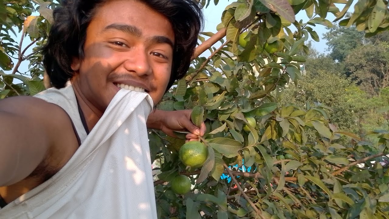 Amrut toda ghar ka🤩
