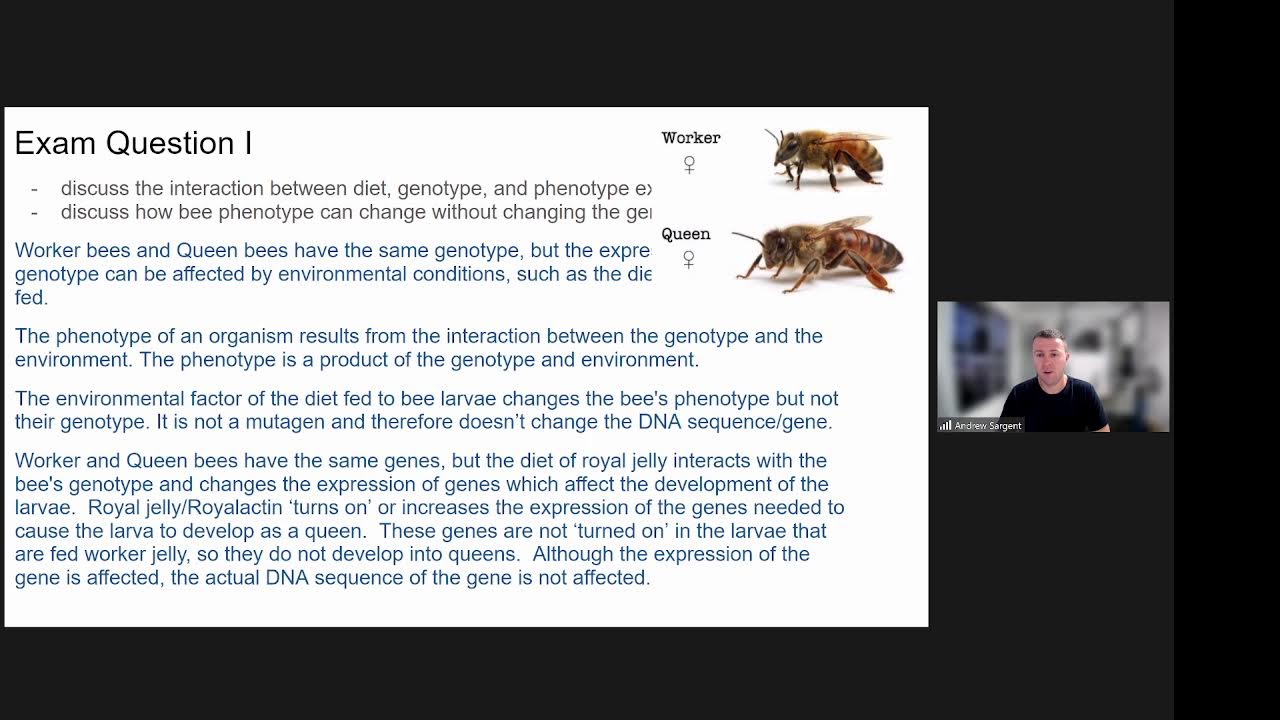 NCEA Level 2 Biology: Gene Expression AS 91159 Exam Preparation Webinar