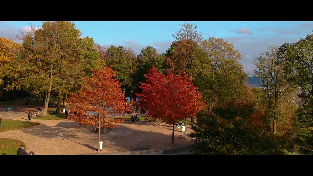 Nordpark Wuppertal | DJI Spark | * Cinematic *