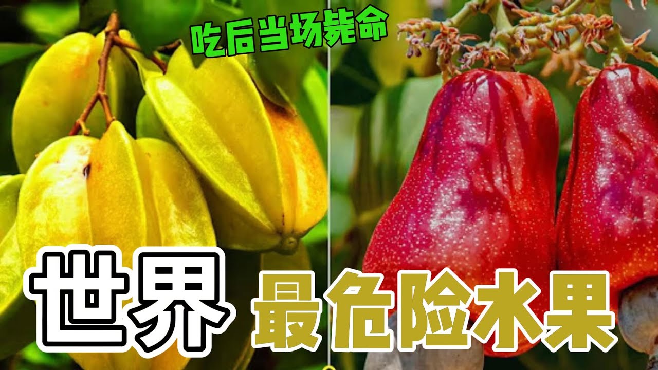 这10种水果比毒药还可怕，第9位吃完睡不醒，第3位像香蕉却含毒，第1位只摸一下就能毁容！