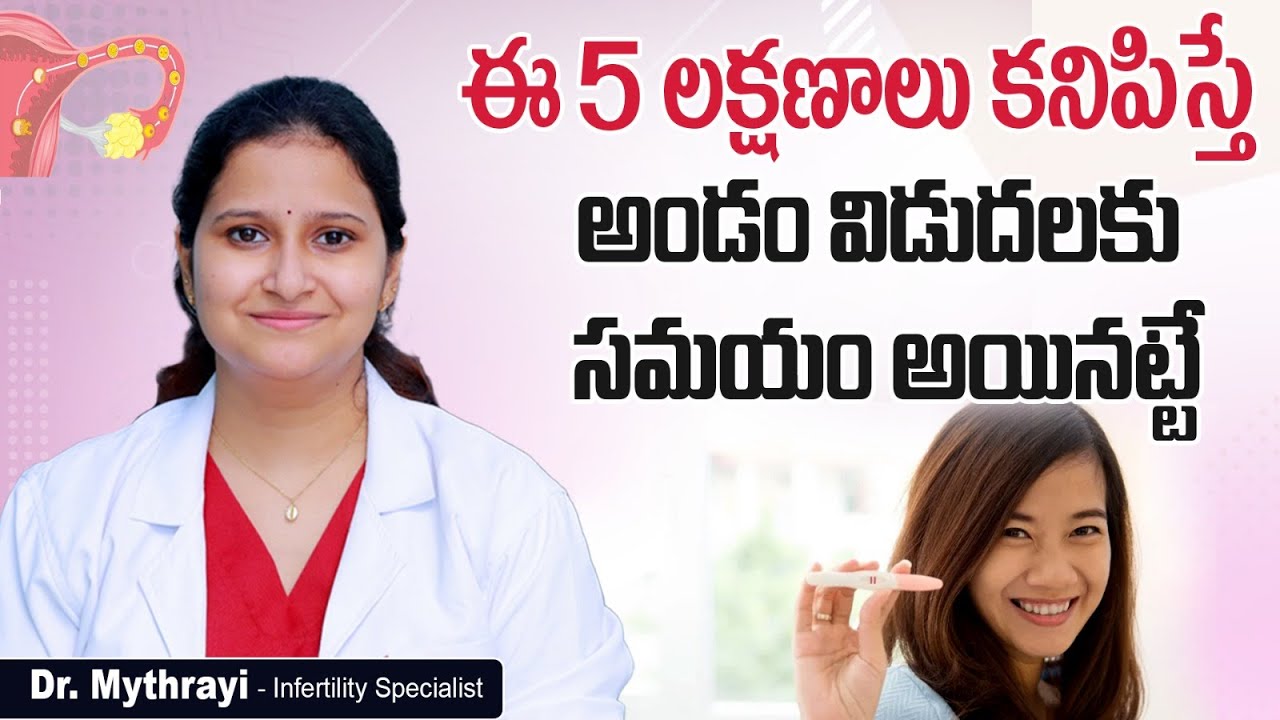 అండం విడుదల సమయం || Top 5 Signs Of Ovulation In Telugu || Ovulation Symptoms || Mythri Sri Fertility