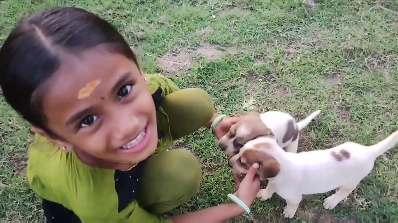 மிகப்பெரிய குழப்பம் நடந்துபோச்சுங்க நாய்க்குட்டி எடுத்துட்டு வந்து அவசரத்துல அரைகுறையா பார்த்துட்டு